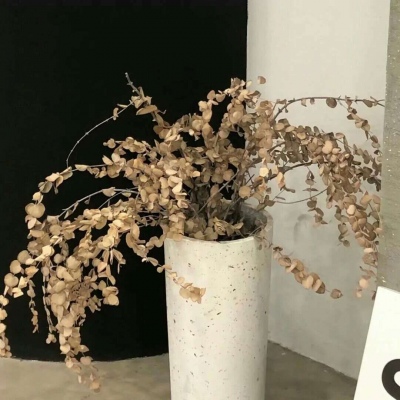 罗定福瑞交流群